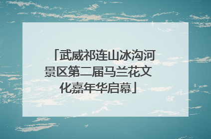 武威祁连山冰沟河景区第二届马兰花文化嘉年华启幕