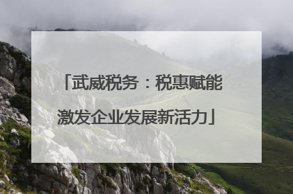 武威税务：税惠赋能 激发企业发展新活力
