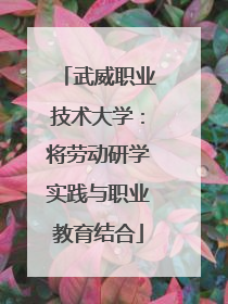 武威职业技术大学：将劳动研学实践与职业教育结合
