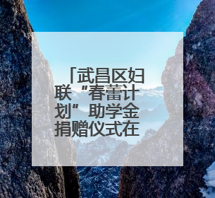 武昌区妇联“春蕾计划”助学金捐赠仪式在白沙洲街道举行