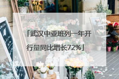 武汉中亚班列一年开行量同比增长72%