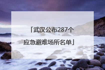 武汉公布287个应急避难场所名单