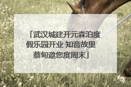 武汉城建开元森泊度假乐园开业 知音故里蔡甸邀您度周末