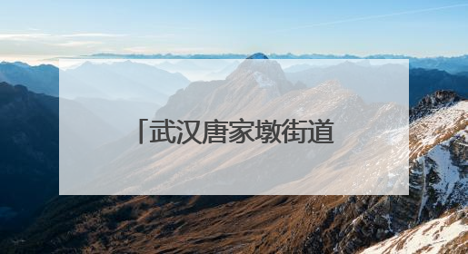 武汉唐家墩街道开展“三大精神”沉浸式宣讲活动