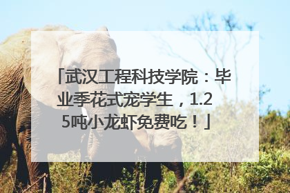 武汉工程科技学院：毕业季花式宠学生，1.25吨小龙虾免费吃！