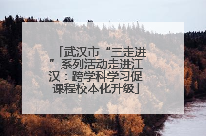 武汉市“三走进”系列活动走进江汉：跨学科学习促课程校本化升级