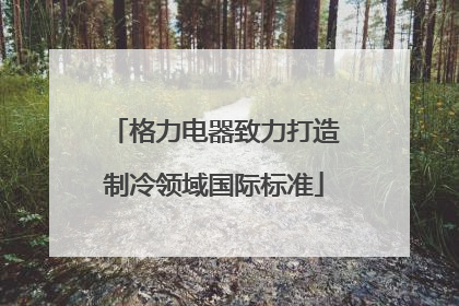 格力电器致力打造制冷领域国际标准