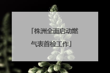 株洲全面启动燃气表首检工作