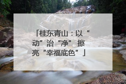 桂东青山：以“动”治“净” 擦亮“幸福底色”