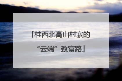 桂西北高山村寨的“云端”致富路