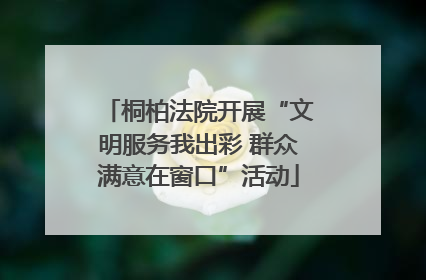 桐柏法院开展“文明服务我出彩 群众满意在窗口”活动