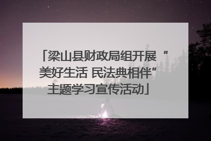 梁山县财政局组开展“美好生活 民法典相伴”主题学习宣传活动