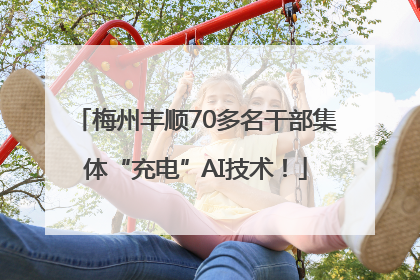 梅州丰顺70多名干部集体“充电”AI技术！
