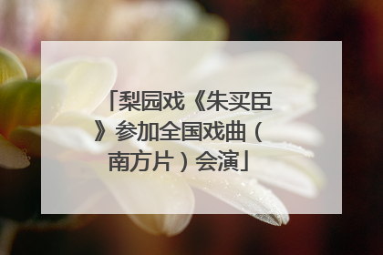 梨园戏《朱买臣》参加全国戏曲（南方片）会演