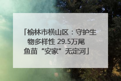 榆林市横山区：守护生物多样性 29.5万尾鱼苗“安家”无定河