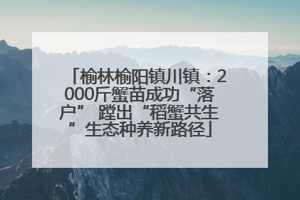 榆林榆阳镇川镇：2000斤蟹苗成功“落户” 蹚出“稻蟹共生”生态种养新路径