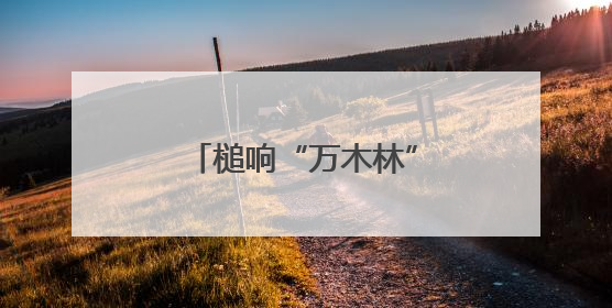 槌响“万木林”｜“天平杯·随手拍”作品展播
