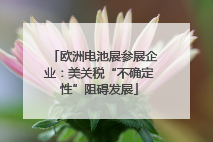 欧洲电池展参展企业：美关税“不确定性”阻碍发展