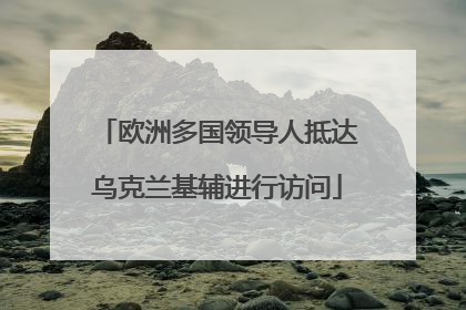 欧洲多国领导人抵达乌克兰基辅进行访问