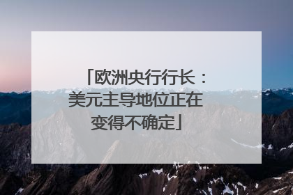 欧洲央行行长：美元主导地位正在变得不确定