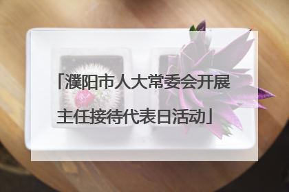 濮阳市人大常委会开展主任接待代表日活动