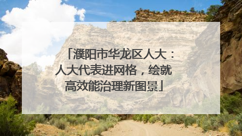 濮阳市华龙区人大：人大代表进网格，绘就高效能治理新图景