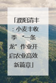 濮阳清丰：小麦丰收季 “一条龙”作业开启农业高效新篇章