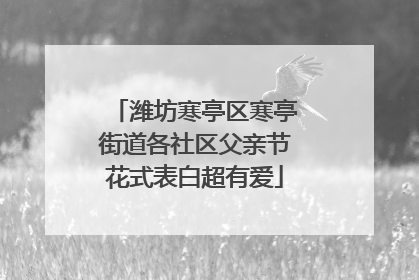 潍坊寒亭区寒亭街道各社区父亲节花式表白超有爱