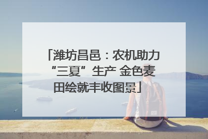 潍坊昌邑：农机助力“三夏”生产 金色麦田绘就丰收图景