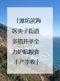 潍坊滨海区央子街道多措并举全力护航粮食丰产丰收