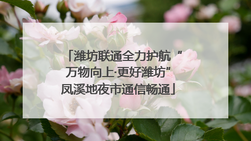 潍坊联通全力护航“万物向上·更好潍坊”凤溪地夜市通信畅通