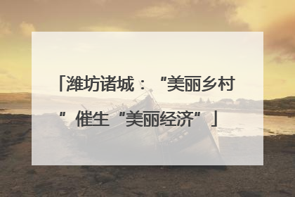 潍坊诸城：“美丽乡村”催生“美丽经济”