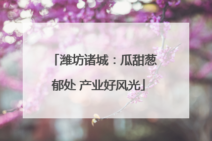 潍坊诸城：瓜甜葱郁处 产业好风光