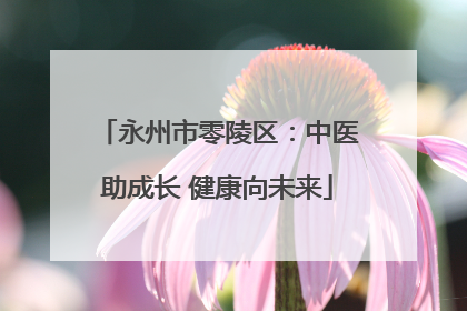 永州市零陵区：中医助成长 健康向未来
