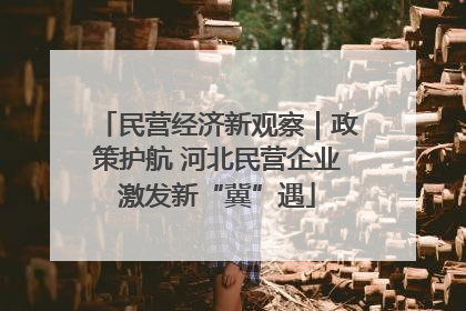 民营经济新观察｜政策护航 河北民营企业激发新“冀”遇