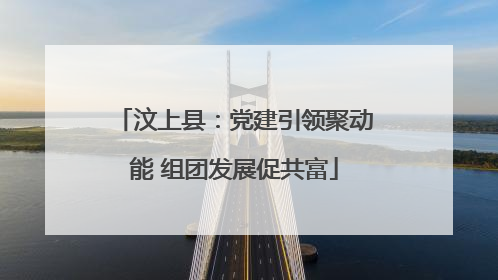 汶上县：党建引领聚动能 组团发展促共富