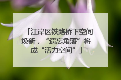 江岸区铁路桥下空间焕新，“遗忘角落”将成“活力空间”