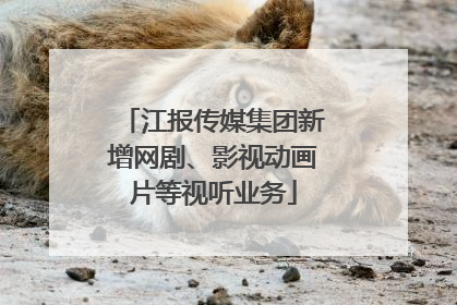 江报传媒集团新增网剧、影视动画片等视听业务