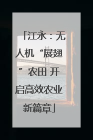 江永：无人机“展翅”农田 开启高效农业新篇章