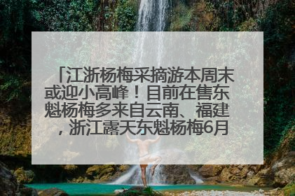 江浙杨梅采摘游本周末或迎小高峰！目前在售东魁杨梅多来自云南、福建，浙江露天东魁杨梅6月中旬大量上市
