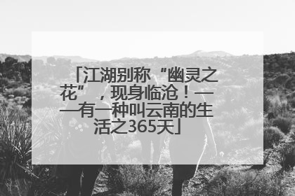 江湖别称“幽灵之花”，现身临沧！——有一种叫云南的生活之365天