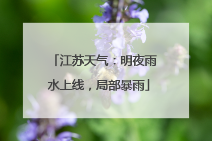 江苏天气：明夜雨水上线，局部暴雨