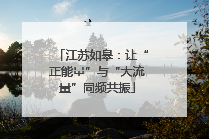 江苏如皋：让“正能量”与“大流量”同频共振
