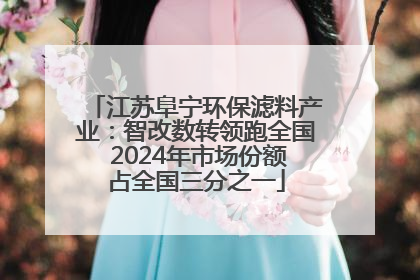 江苏阜宁环保滤料产业：智改数转领跑全国 2024年市场份额占全国三分之一