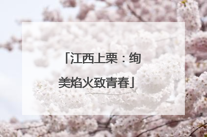 江西上栗：绚美焰火致青春