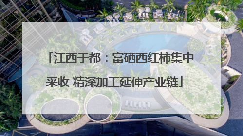 江西于都：富硒西红柿集中采收 精深加工延伸产业链