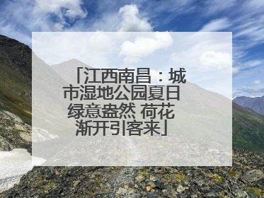 江西南昌：城市湿地公园夏日绿意盎然 荷花渐开引客来