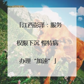 江西彭泽：服务权限下沉 慢特病办理“加速”