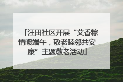 汪田社区开展“艾香粽情暖端午，敬老睦邻共安康”主题敬老活动