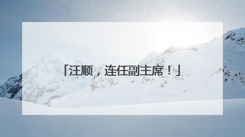 汪顺，连任副主席！